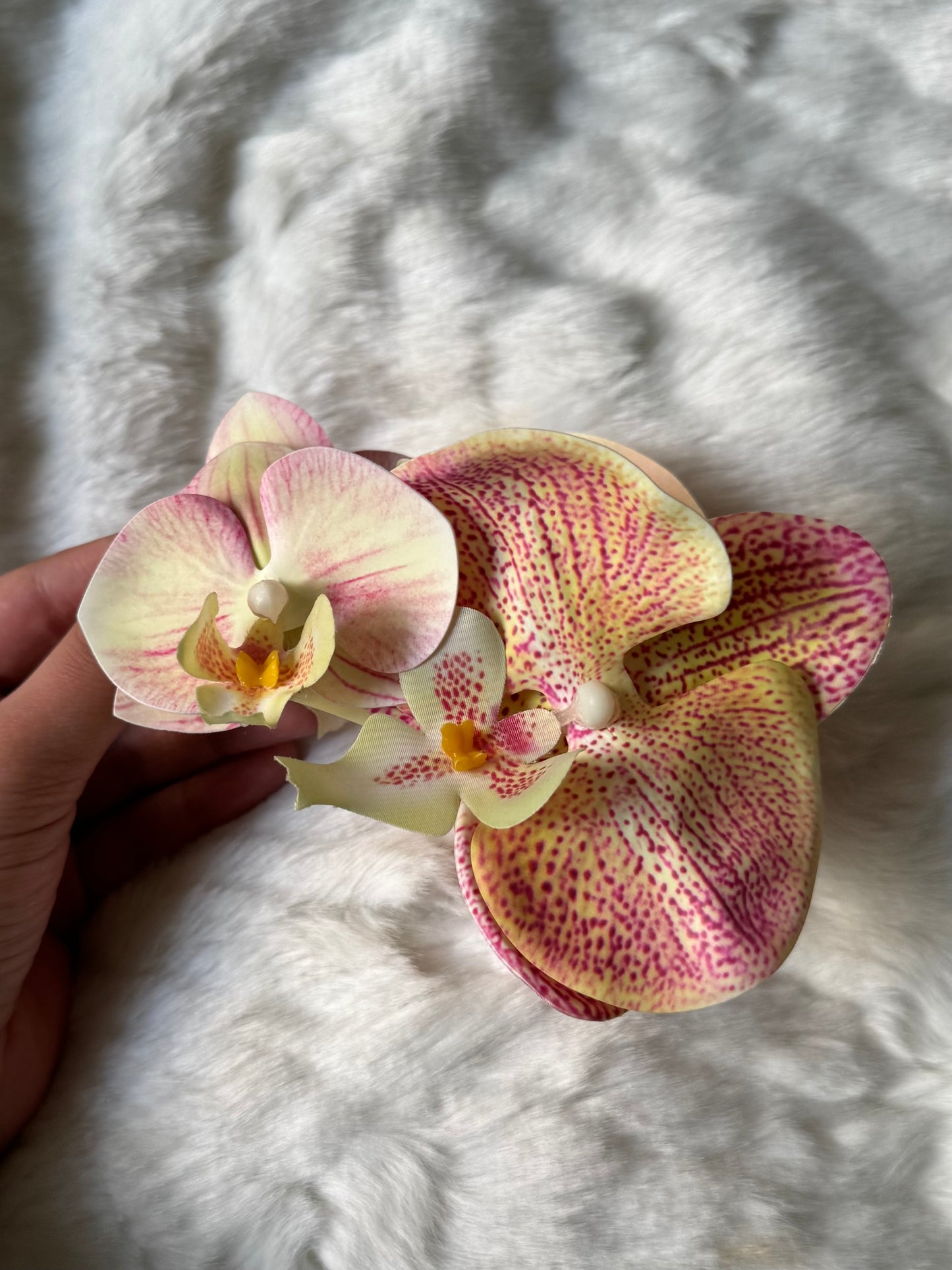Orange-Pink double phalaenopsis claw clip