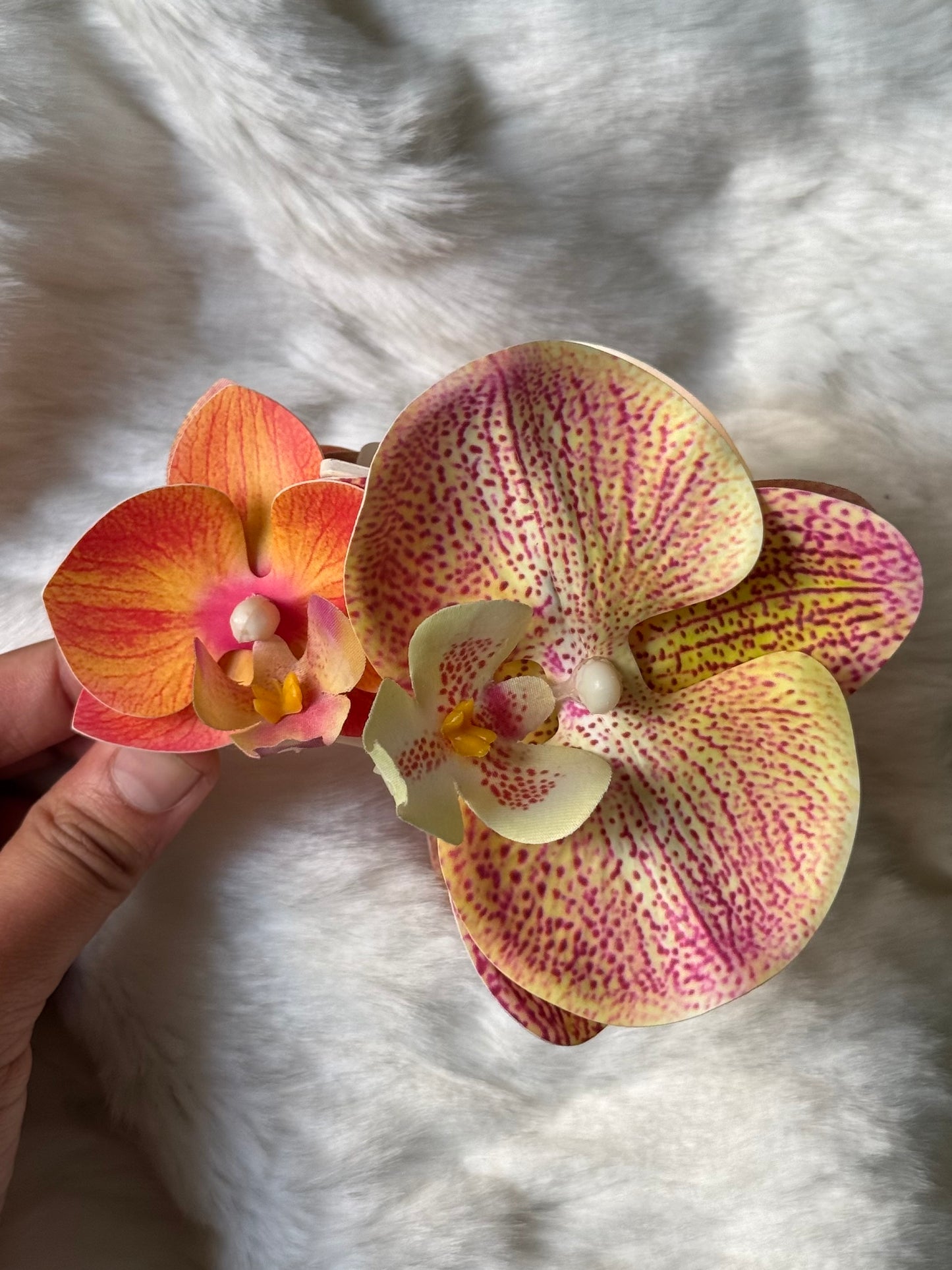 Orange-Pink double phalaenopsis claw clip