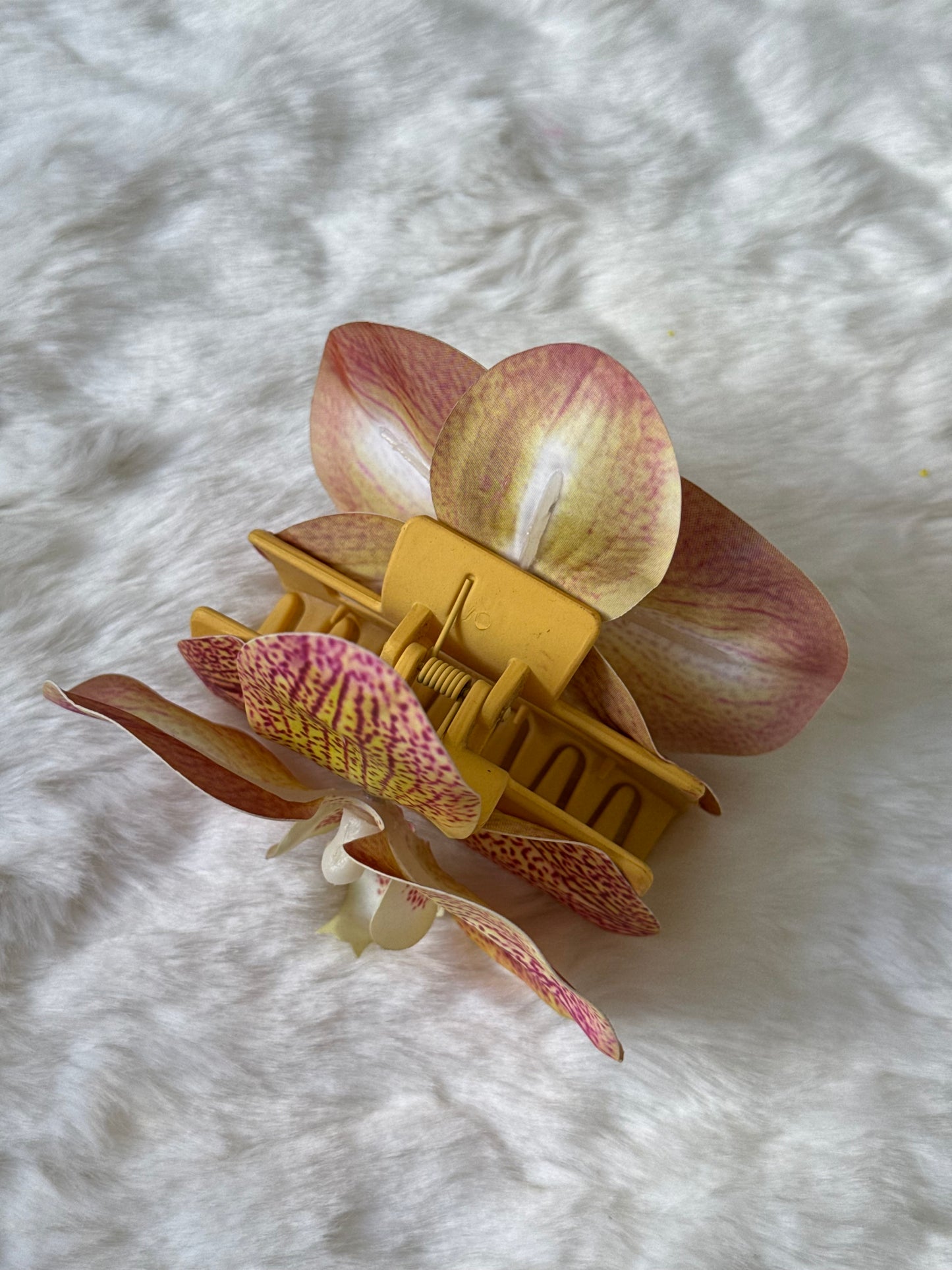 Orange-Pink phalaenopsis claw clip