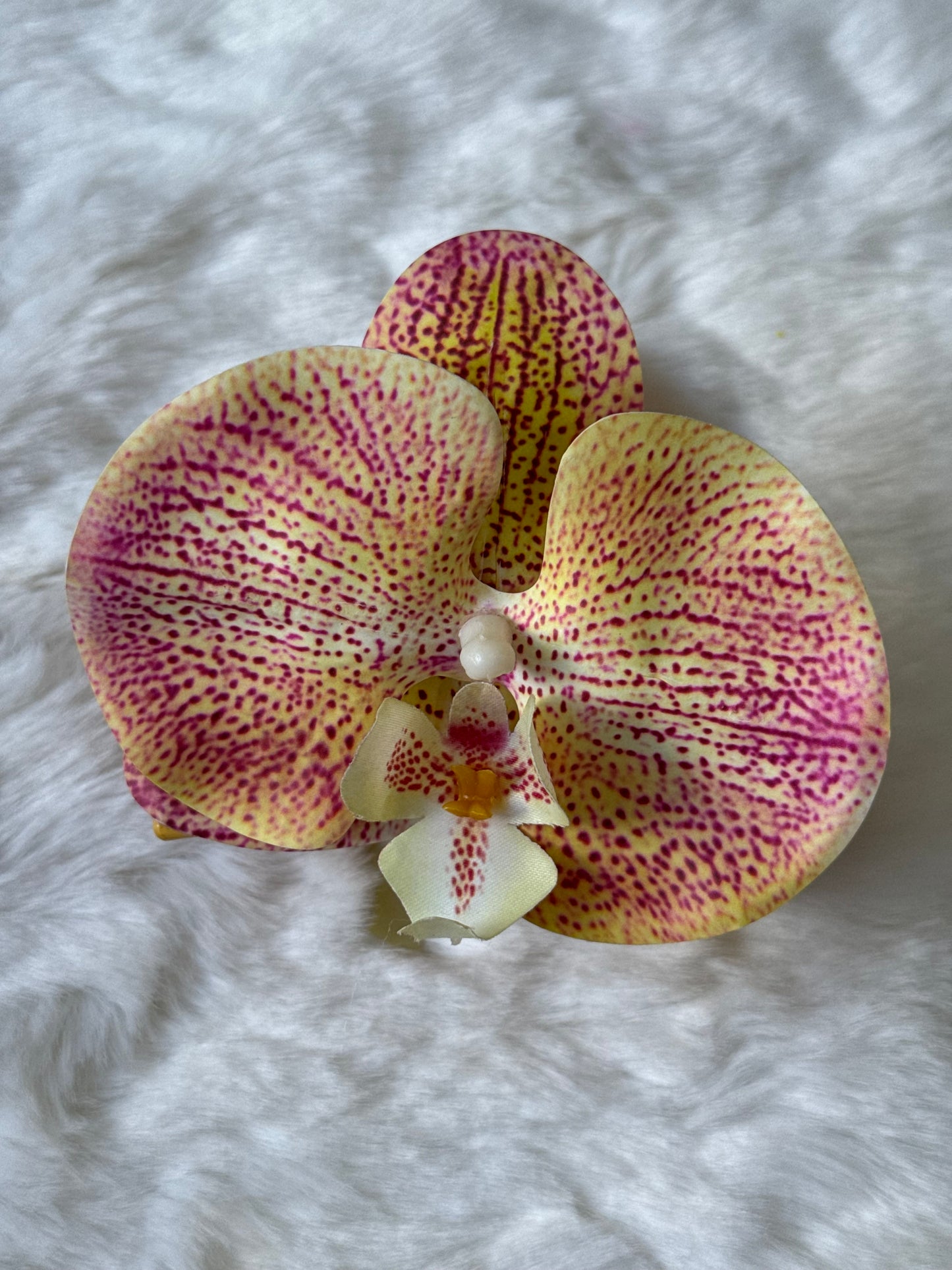 Orange-Pink phalaenopsis claw clip