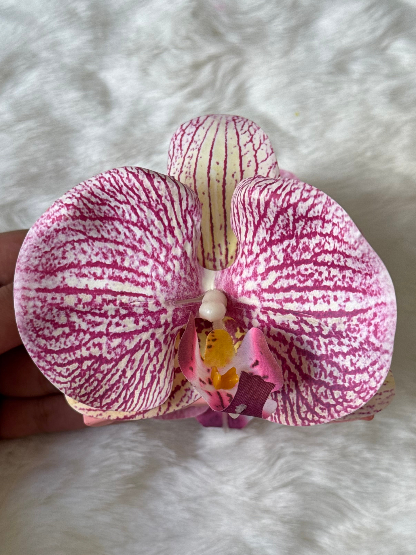 Pink phalaenopsis claw clip