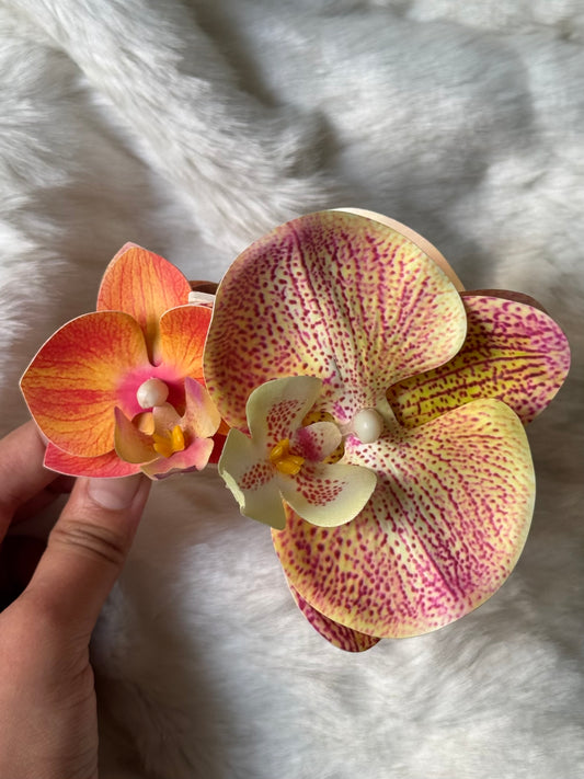 Orange-Pink double phalaenopsis claw clip