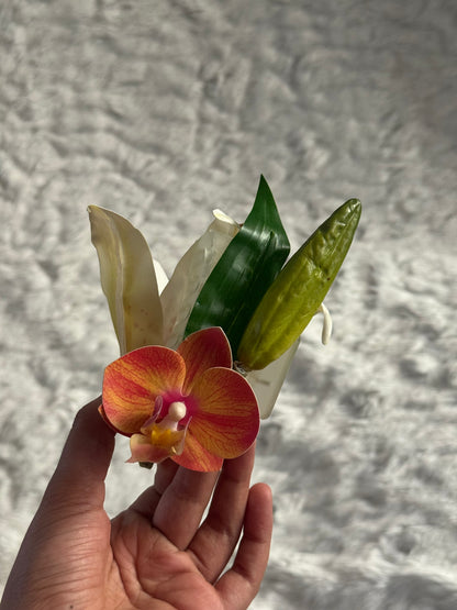 Lily Bouquet Claw Clip (V2)