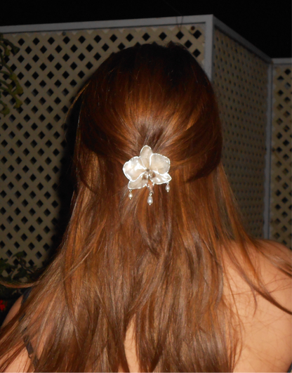 Dafni hairpin
