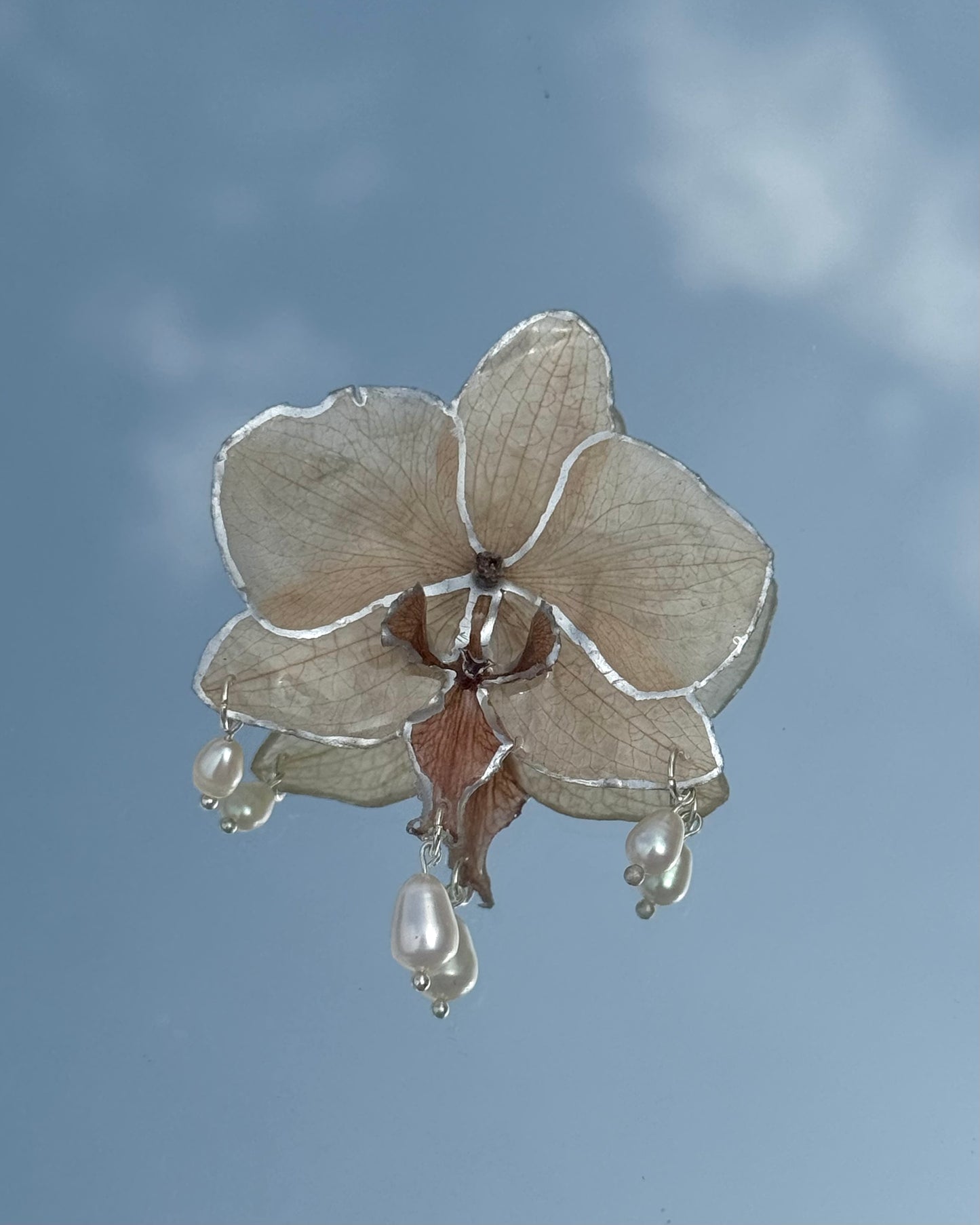 Dafni hairpin