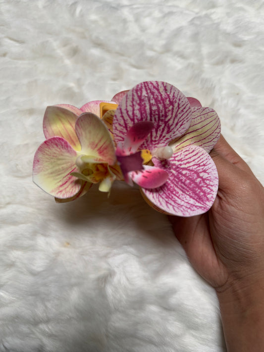 Pink phalaenopsis double orchid claw clip