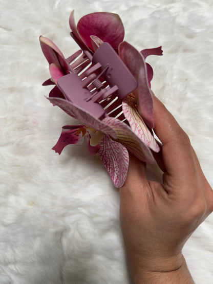 Pink phalaenopsis double orchid claw clip