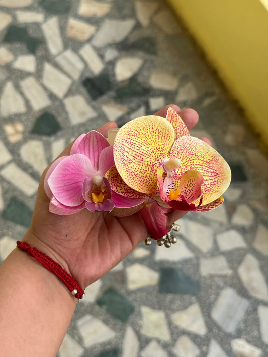 Pink and orange double phalaenopsis claw clip
