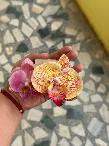Pink and orange double phalaenopsis claw clip